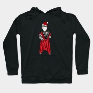 Santa Cat Playing Accordion Christmas Gift Hoodie